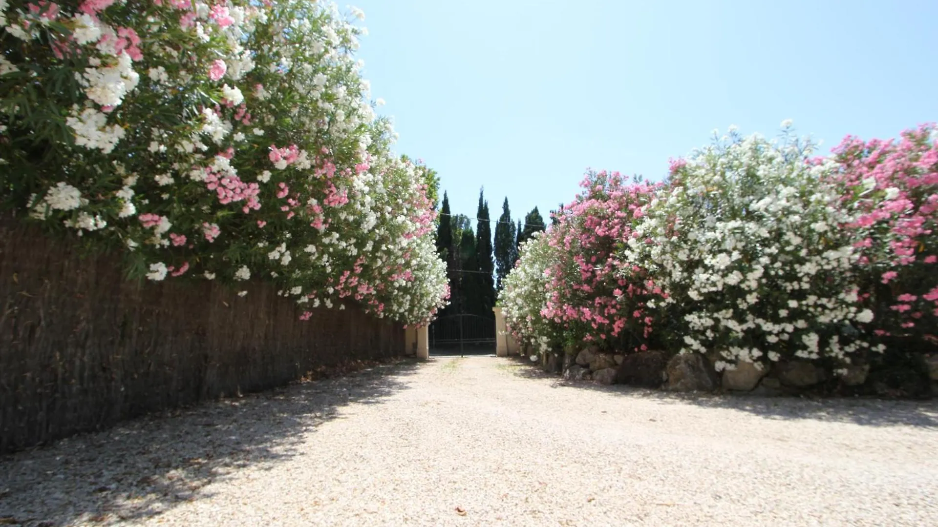 Mas Paloma Bed & Breakfast Rognonas