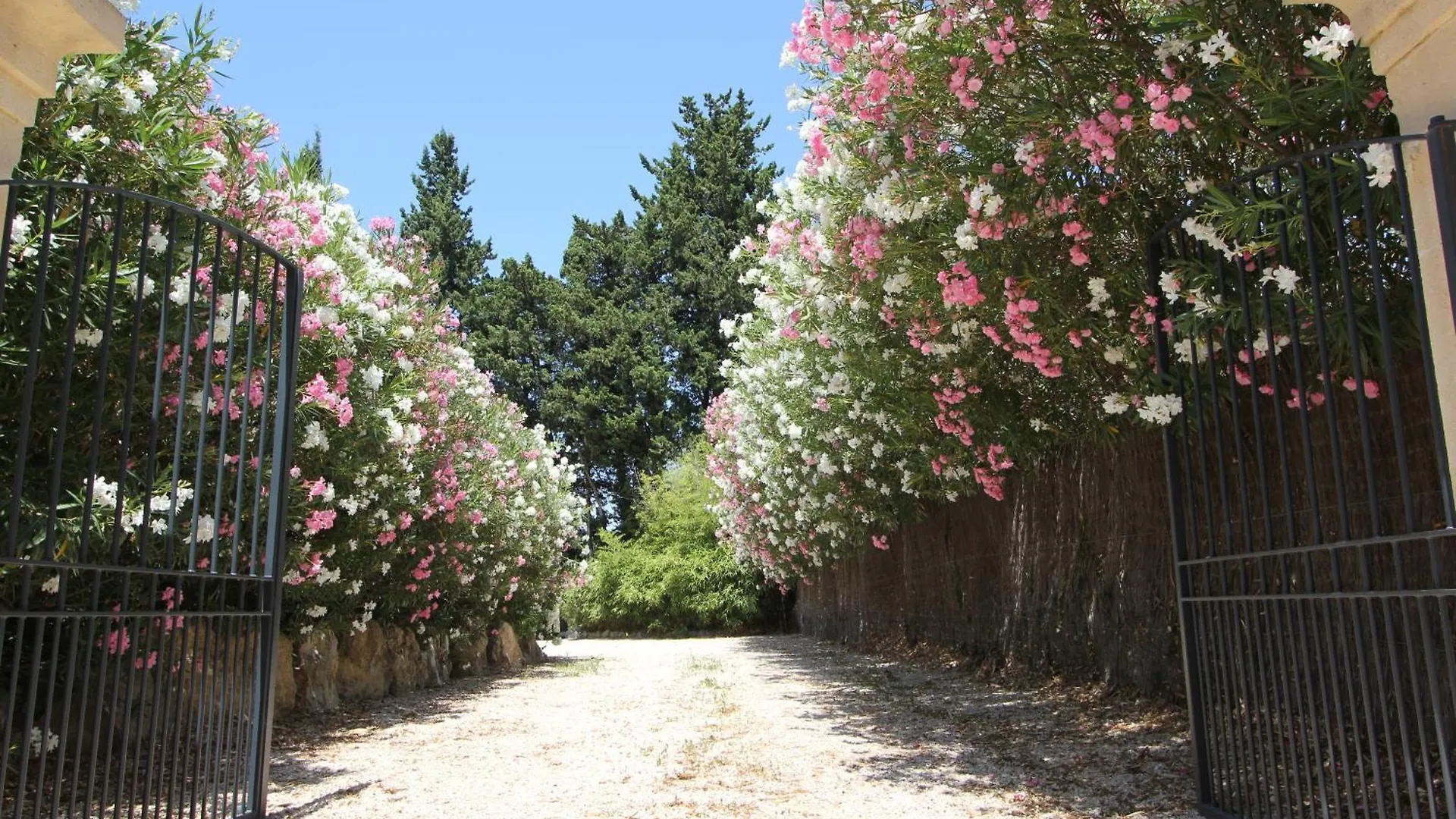 Mas Paloma Bed & Breakfast Rognonas 4*,