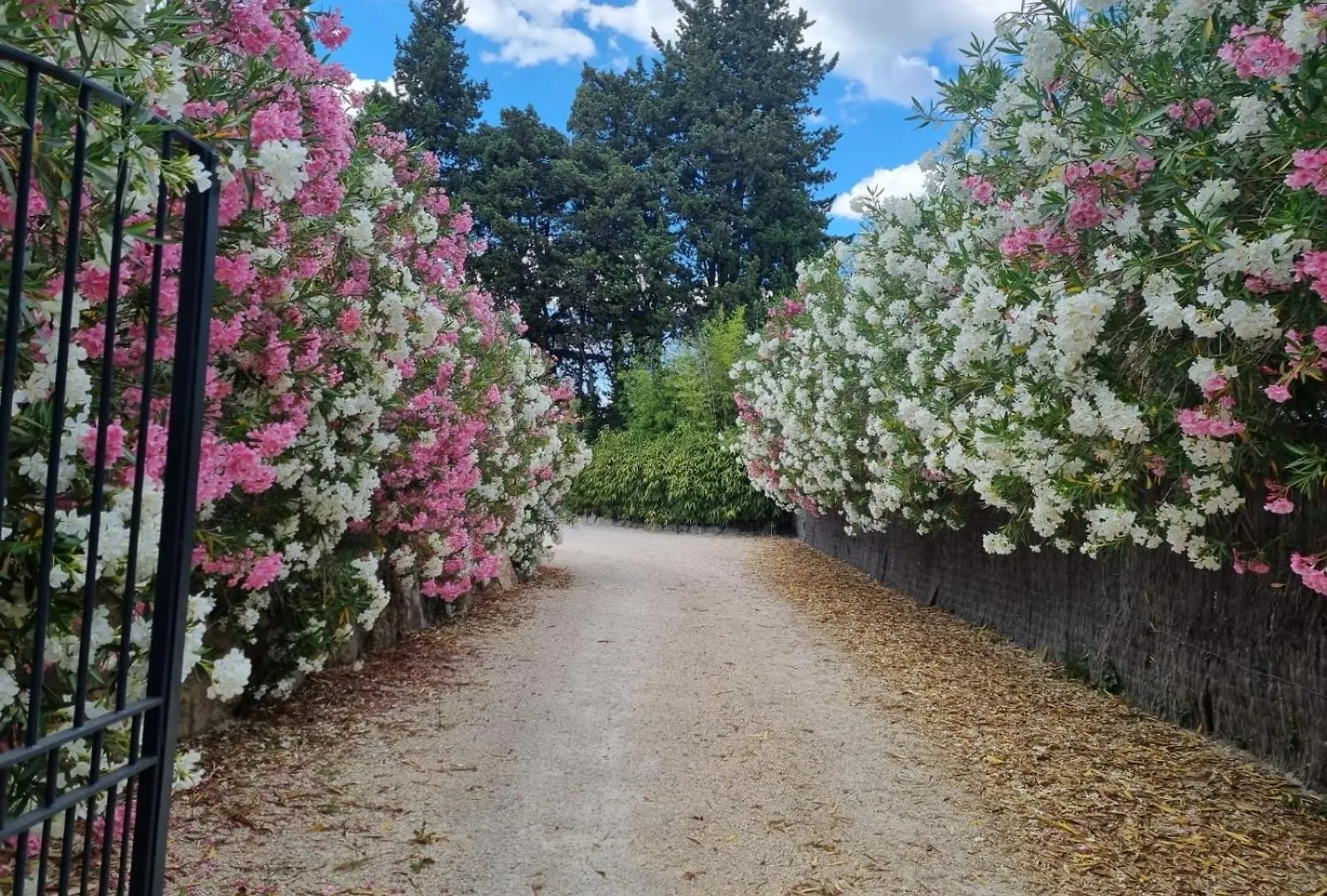Mas Paloma Bed & Breakfast Rognonas